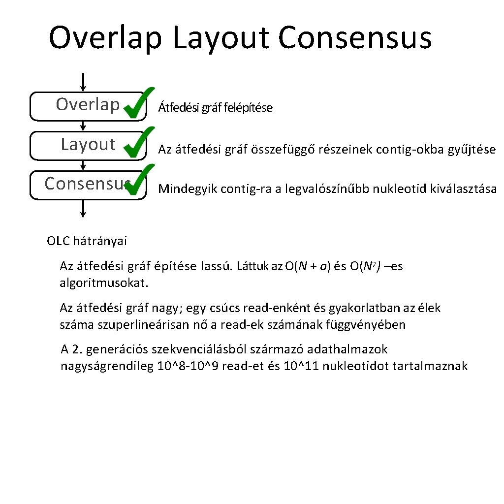 Overlap Layout Consensus Overlap Átfedési gráf felépítése Layout Az átfedési gráf összefüggő részeinek contig-okba