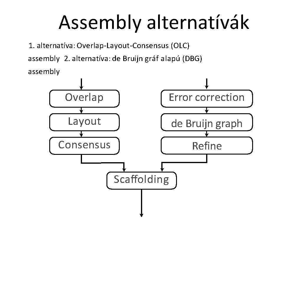 Assembly alternatívák 1. alternatíva: Overlap-Layout-Consensus (OLC) assembly 2. alternatíva: de Bruijn gráf alapú (DBG)
