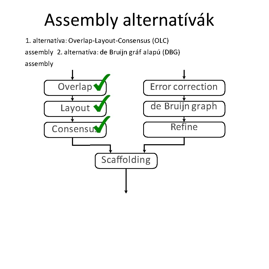 Assembly alternatívák 1. alternatíva: Overlap-Layout-Consensus (OLC) assembly 2. alternatíva: de Bruijn gráf alapú (DBG)