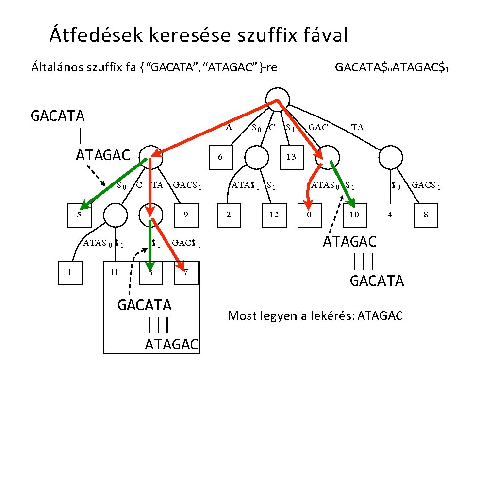 Átfedések keresése szuffix fával Általános szuffix fa { “GACATA”, “ATAGAC” }-re GACATA | ATAGAC