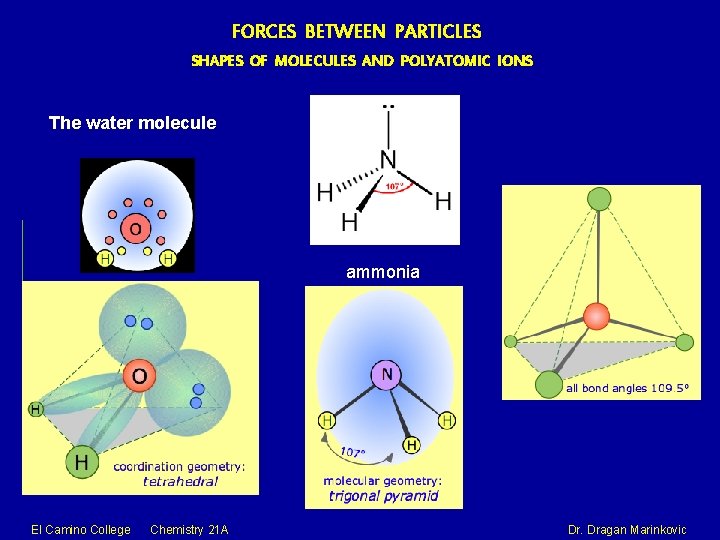 FORCES BETWEEN PARTICLES SHAPES OF MOLECULES AND POLYATOMIC IONS The water molecule ammonia El