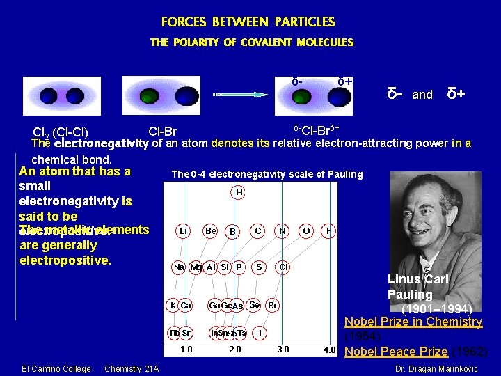 FORCES BETWEEN PARTICLES THE POLARITY OF COVALENT MOLECULES δ- Cl-Br Cl 2 (Cl-Cl) δ+