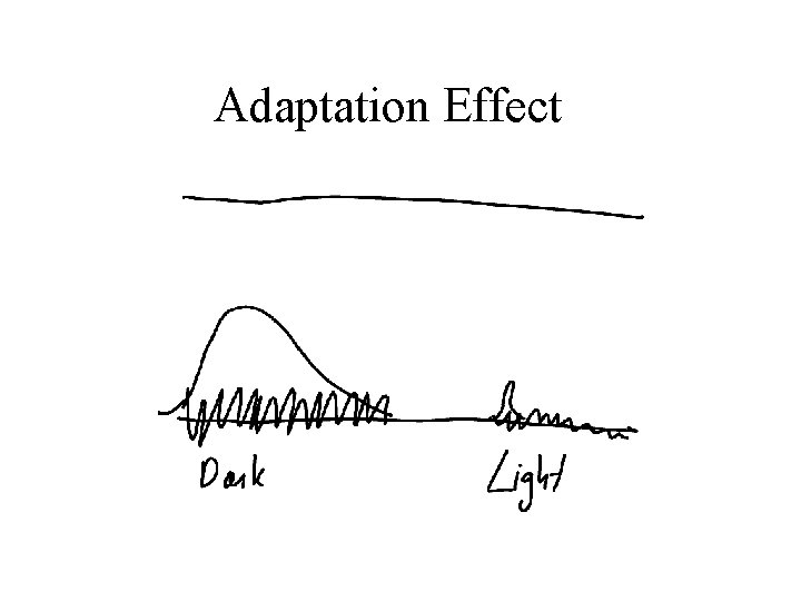 Adaptation Effect 