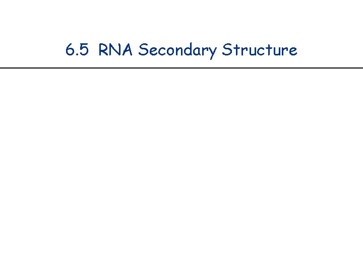 6. 5 RNA Secondary Structure 