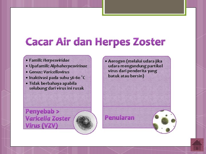 Cacar Air dan Herpes Zoster • Famili: Herpesviridae • Upafamili: Alphaherpesvirinae • Genus: Varicellovirus