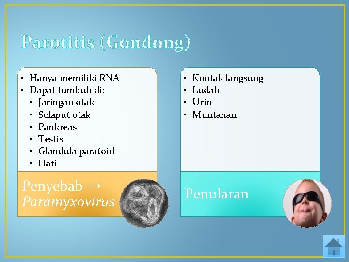 Parotitis (Gondong) • Hanya memiliki RNA • Dapat tumbuh di: • Jaringan otak •