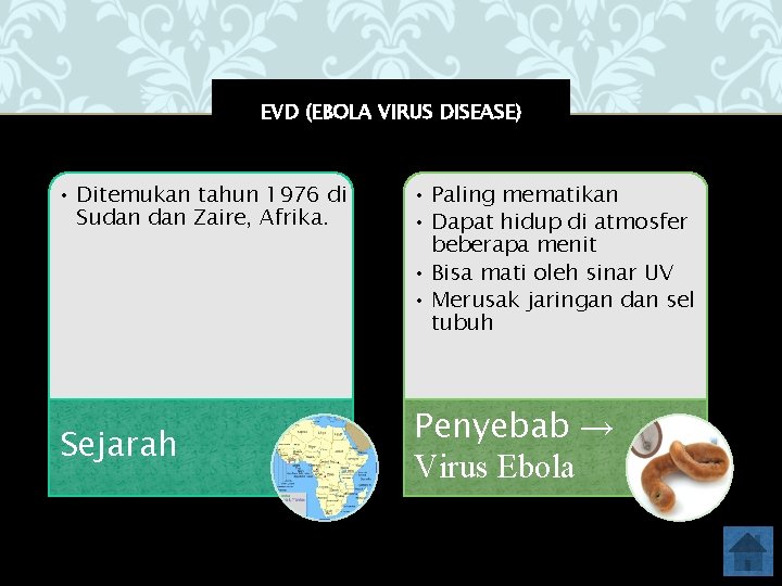 EVD (EBOLA VIRUS DISEASE) • Ditemukan tahun 1976 di Sudan Zaire, Afrika. Sejarah •