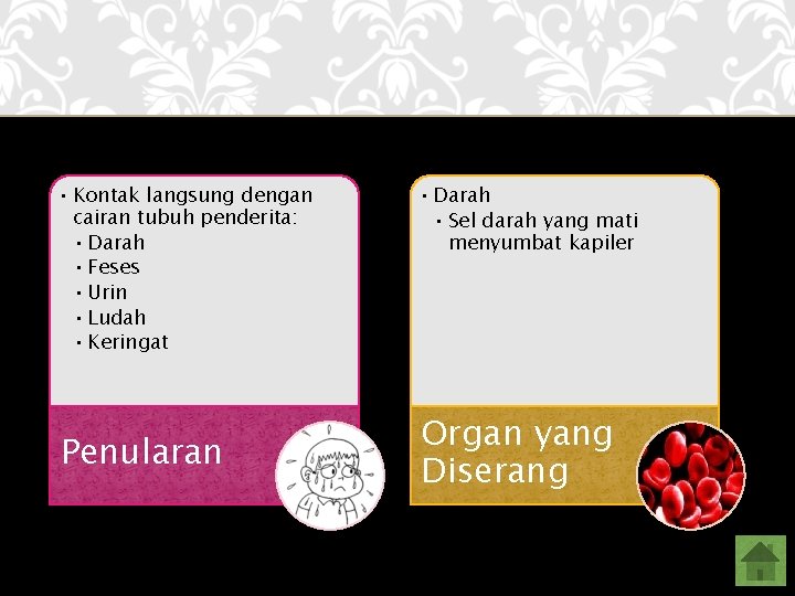  • Kontak langsung dengan cairan tubuh penderita: • Darah • Feses • Urin