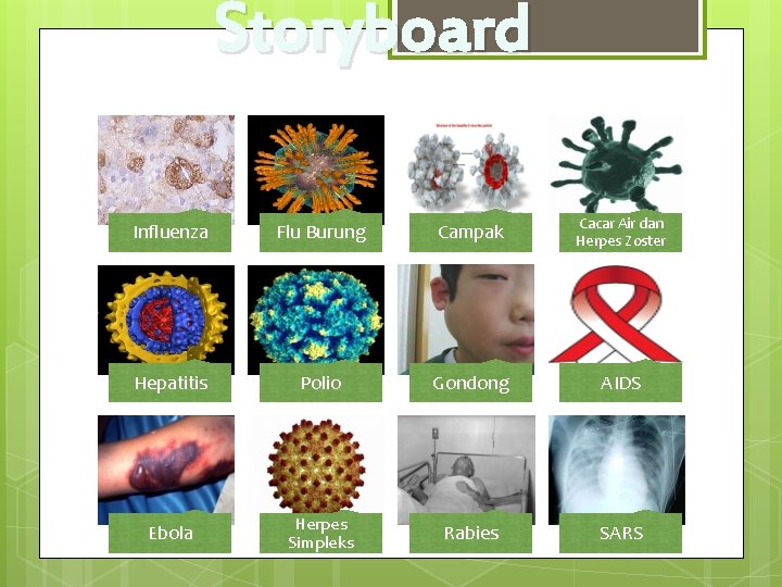 Storyboard Influenza Flu Burung Campak Cacar Air dan Herpes Zoster Hepatitis Polio Gondong AIDS