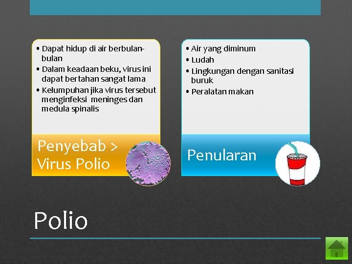  • Dapat hidup di air berbulan • Dalam keadaan beku, virus ini dapat