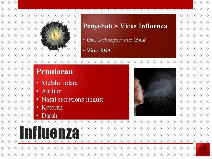 Penyebab > Virus Influenza • Gol. Orthomyxovirus (Bola) • Virus RNA Penularan • •