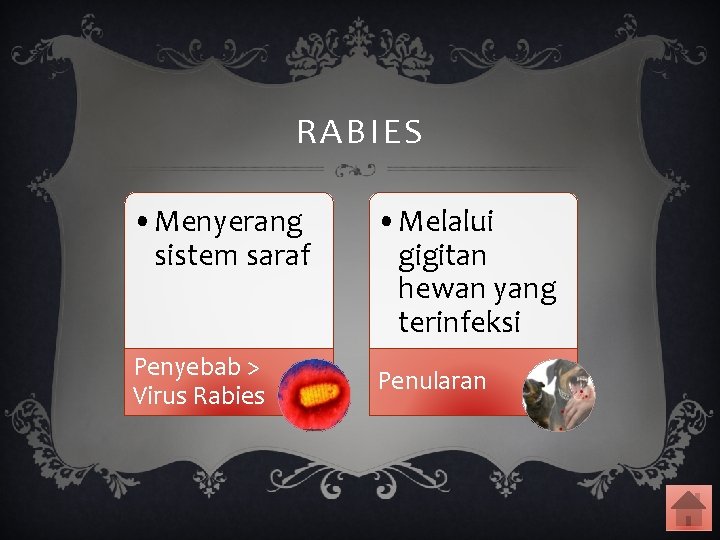 RABIES • Menyerang sistem saraf Penyebab > Virus Rabies • Melalui gigitan hewan yang