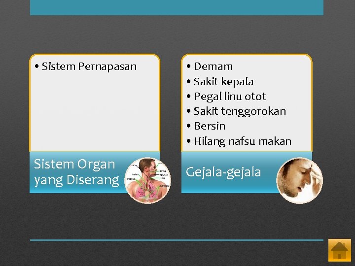  • Sistem Pernapasan Sistem Organ yang Diserang • Demam • Sakit kepala •