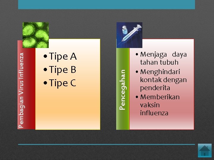 Pencegahan Pembagian Virus Influenza • Tipe A • Tipe B • Tipe C •