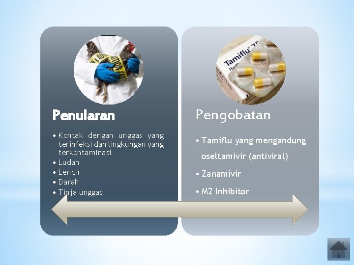 Penularan • Kontak dengan unggas yang terinfeksi dan lingkungan yang terkontaminasi • Ludah •