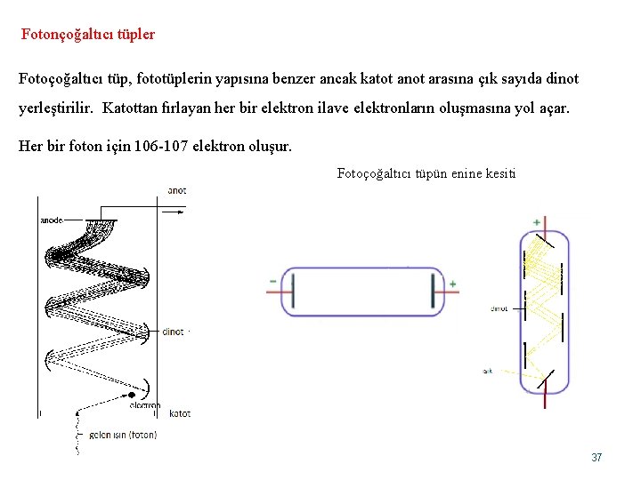 Fotonçoğaltıcı tüpler Fotoçoğaltıcı tüp, fototüplerin yapısına benzer ancak katot anot arasına çık sayıda dinot