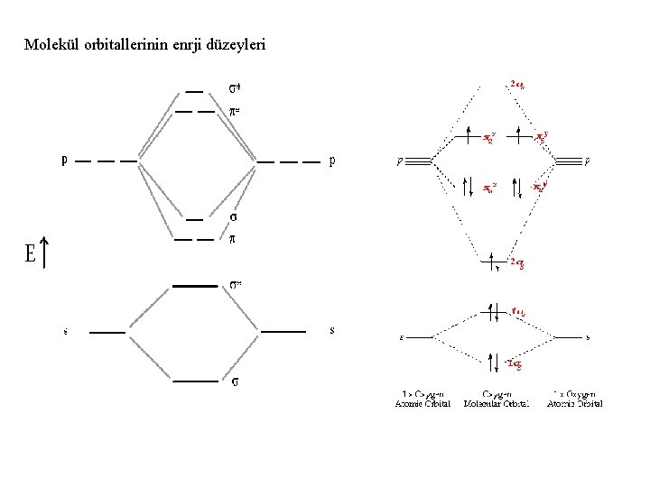 Molekül orbitallerinin enrji düzeyleri 