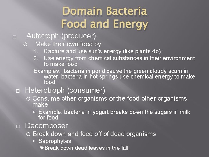  Domain Bacteria Food and Energy Autotroph (producer) Make their own food by: Capture