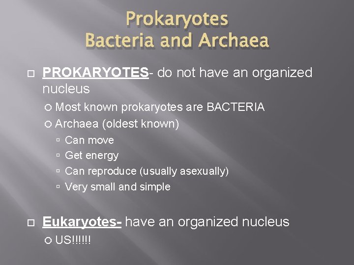 Prokaryotes Bacteria and Archaea PROKARYOTES- do not have an organized nucleus Most known prokaryotes