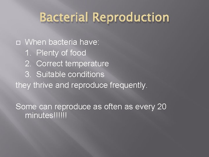 Bacterial Reproduction When bacteria have: 1. Plenty of food 2. Correct temperature 3. Suitable