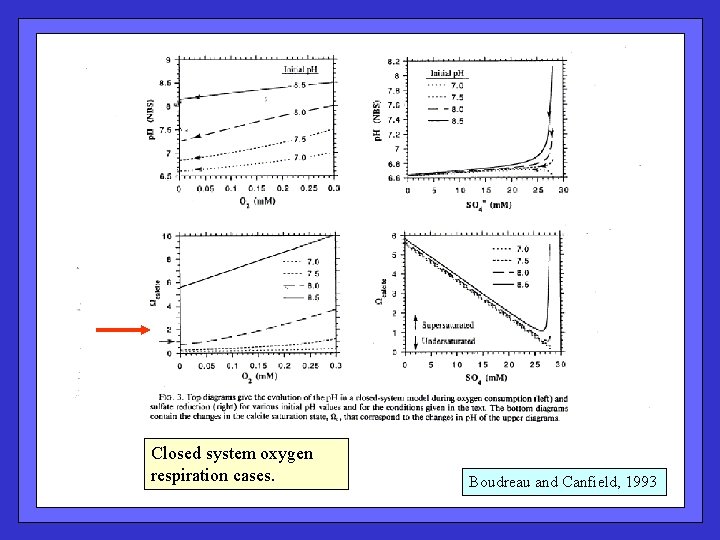 Closed system oxygen respiration cases. Boudreau and Canfield, 1993 