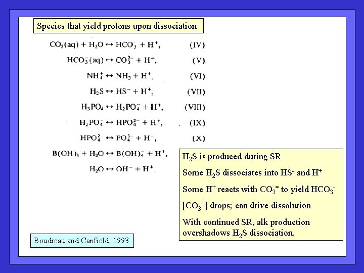 Species that yield protons upon dissociation H 2 S is produced during SR Some