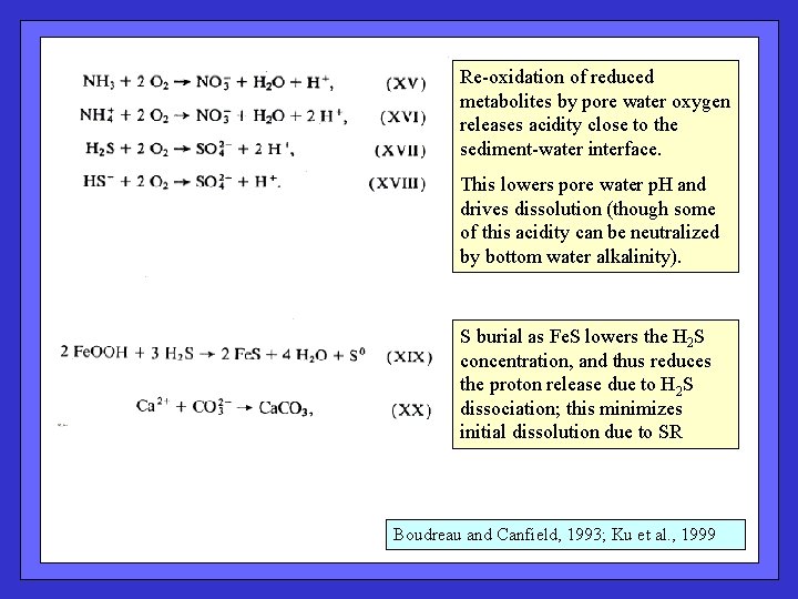 Re-oxidation of reduced metabolites by pore water oxygen releases acidity close to the sediment-water