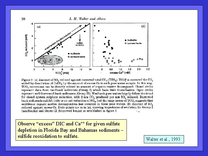 Observe “excess” DIC and Ca++ for given sulfate depletion in Florida Bay and Bahamas