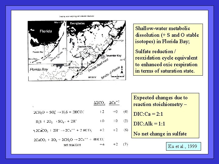 Shallow-water metabolic dissolution (+ S and O stable isotopes) in Florida Bay; Sulfate reduction