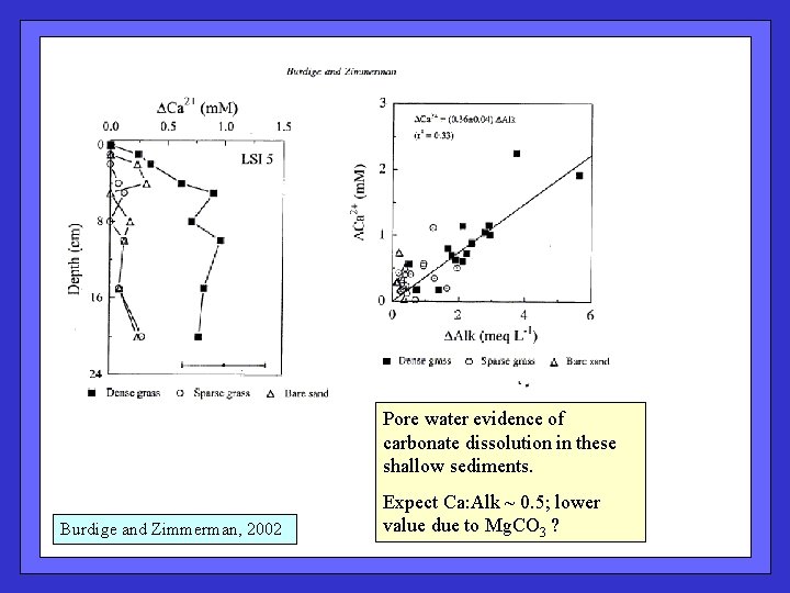 Pore water evidence of carbonate dissolution in these shallow sediments. Burdige and Zimmerman, 2002