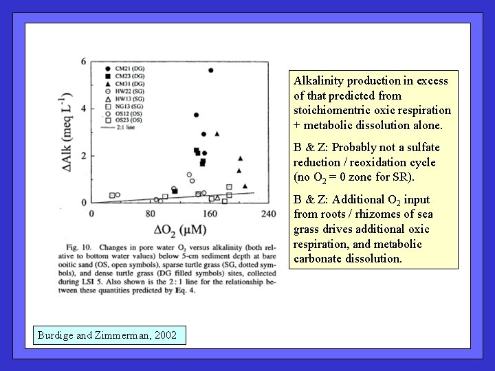 Alkalinity production in excess of that predicted from stoichiomentric oxic respiration + metabolic dissolution