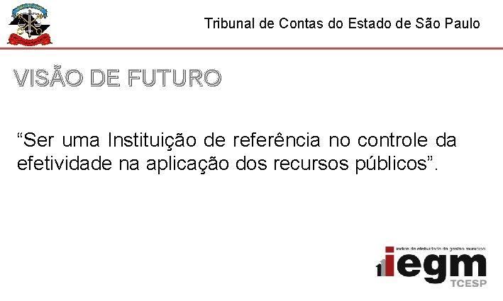 Tribunal de Contas do Estado de São Paulo VISÃO DE FUTURO “Ser uma Instituição