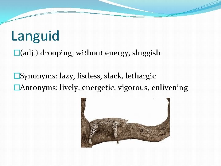Languid �(adj. ) drooping; without energy, sluggish �Synonyms: lazy, listless, slack, lethargic �Antonyms: lively,