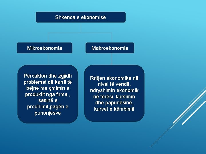 Shkenca e ekonomisë Mikroekonomia Përcakton dhe zgjidh problemet që kanë të bëjnë me çmimin