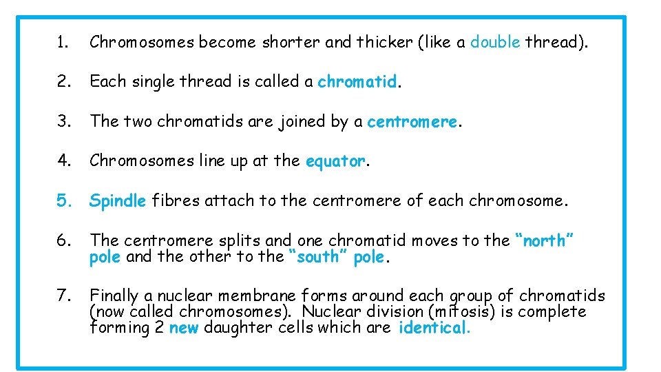 1. Chromosomes become shorter and thicker (like a double thread). 2. Each single thread