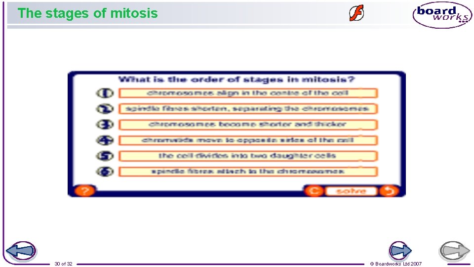 The stages of mitosis 30 of 32 © Boardworks Ltd 2007 