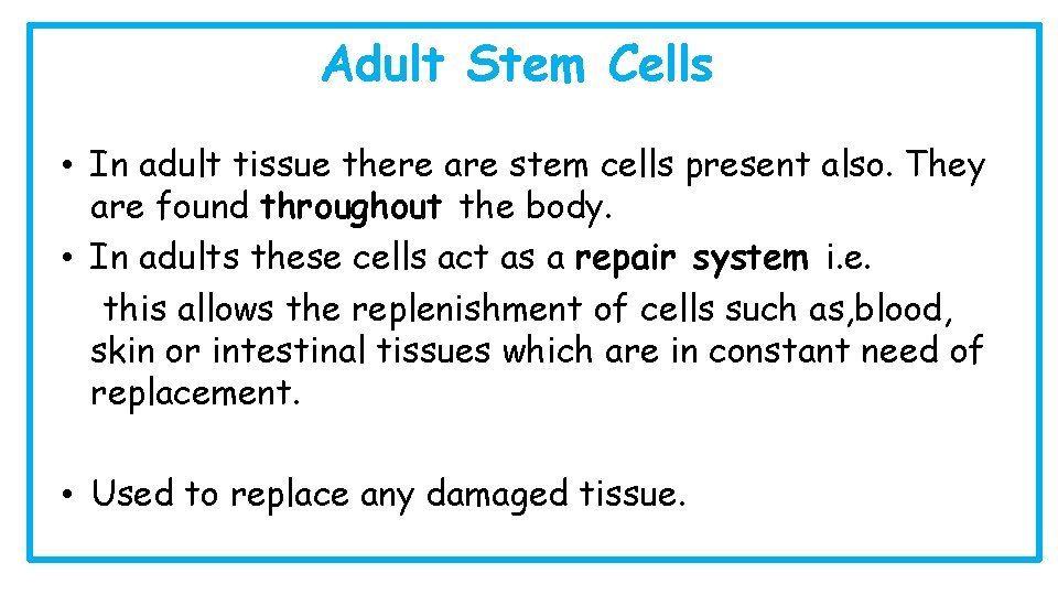 Adult Stem Cells • In adult tissue there are stem cells present also. They