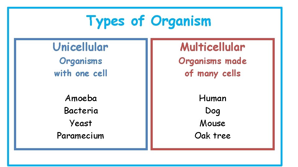 Types of Organism Unicellular Multicellular Organisms with one cell Organisms made of many cells