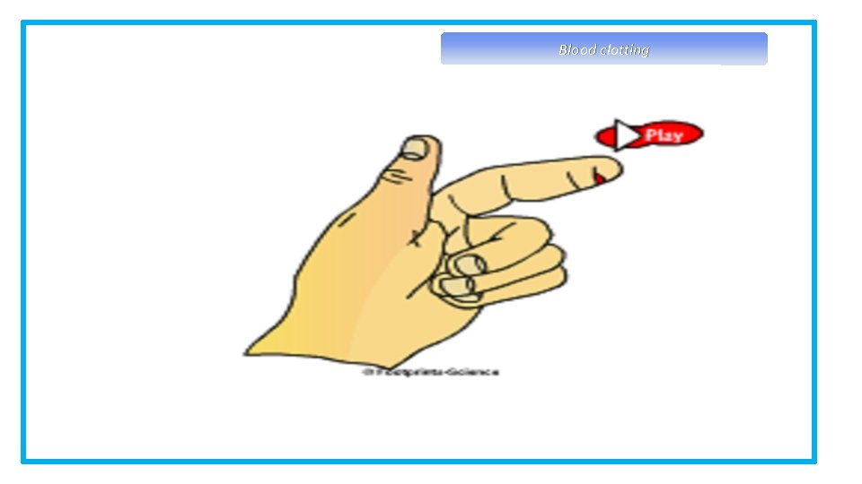 Blood clotting Now write a short note on the role of cell division 