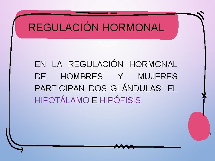 REGULACIÓN HORMONAL EN LA REGULACIÓN HORMONAL DE HOMBRES Y MUJERES PARTICIPAN DOS GLÁNDULAS: EL