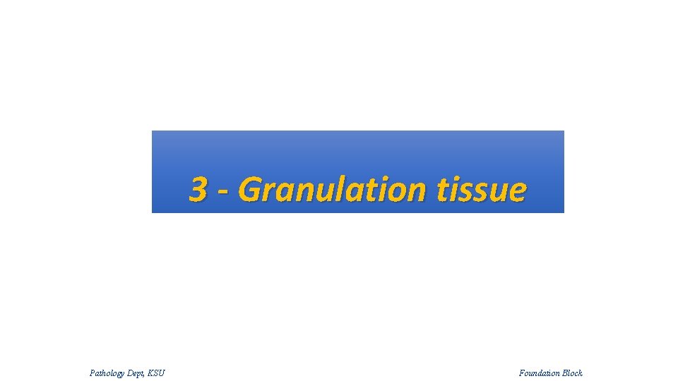 3 - Granulation tissue Pathology Dept, KSU Foundation Block 