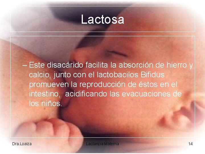 Lactosa – Este disacárido facilita la absorción de hierro y calcio, junto con el