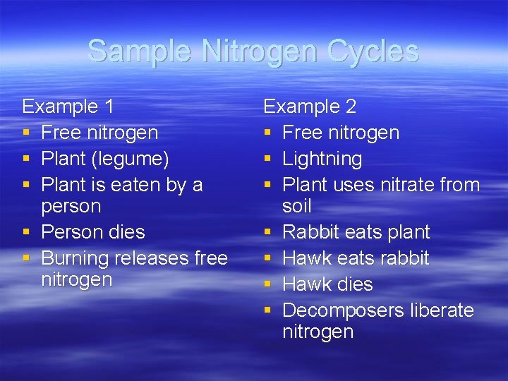 Sample Nitrogen Cycles Example 1 § Free nitrogen § Plant (legume) § Plant is