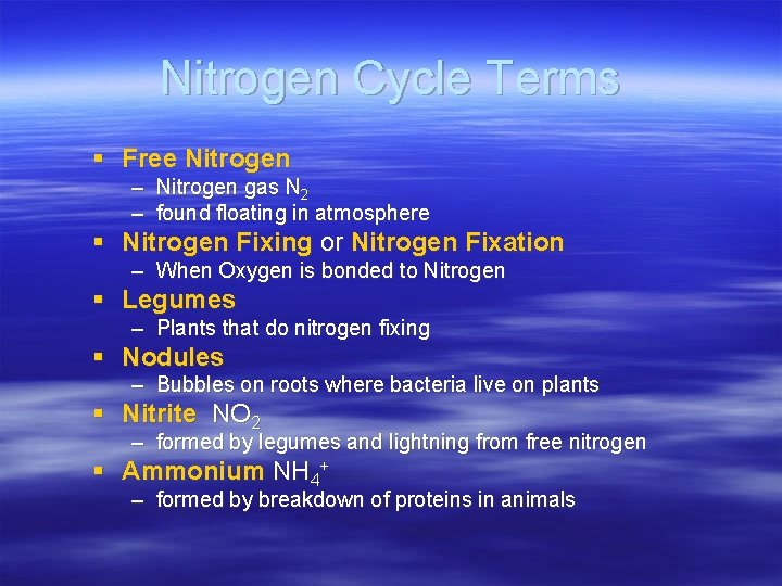 Nitrogen Cycle Terms § Free Nitrogen – Nitrogen gas N 2 – found floating