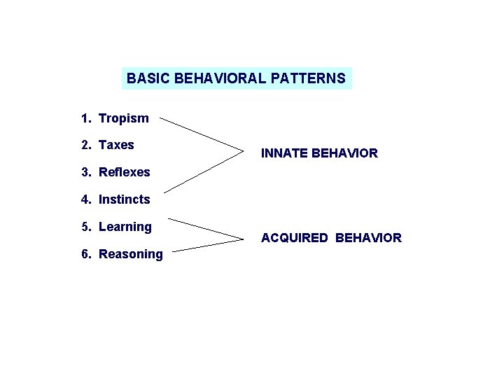 BASIC BEHAVIORAL PATTERNS 1. Tropism 2. Taxes INNATE BEHAVIOR 3. Reflexes 4. Instincts 5.