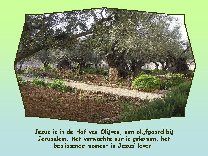 Jezus is in de Hof van Olijven, een olijfgaard bij Jeruzalem. Het verwachte uur