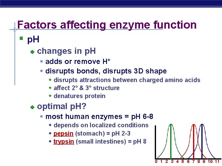 Factors affecting enzyme function § p. H u changes in p. H § adds