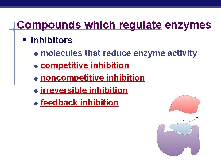 Compounds which regulate enzymes § Inhibitors molecules that reduce enzyme activity u competitive inhibition