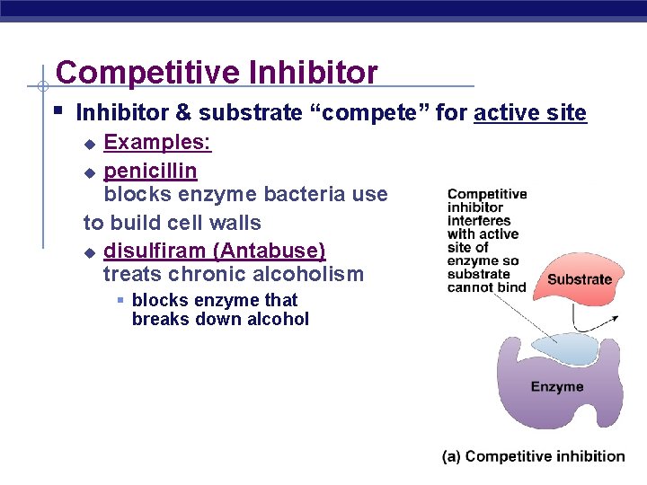 Competitive Inhibitor § Inhibitor & substrate “compete” for active site Examples: u penicillin blocks