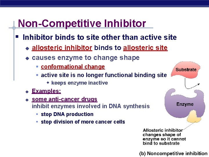 Non-Competitive Inhibitor § Inhibitor binds to site other than active site u u allosteric